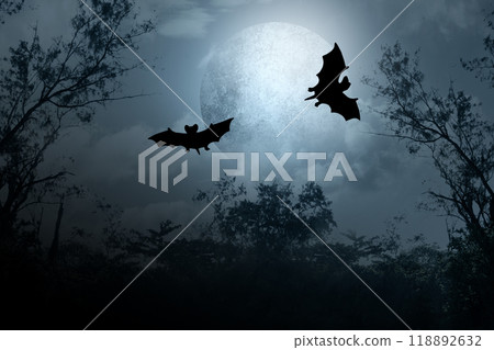 Two bats flying in the night sky above a full moon. Scene is mysterious and scary Two bats flying in the night sky above a full moon. Scene is mysterious and scary 118892632
