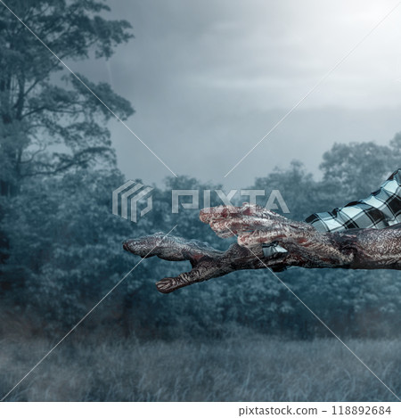 Monster hands in plaid shirt rising out with moonlight background. Scene has dark and scary. The hand appearing to be a monster, devil, evil, satan, or zombie hands Monster hands in plaid shirt rising out with moonlight background. Scene has dark and scary. The hand appearing to be a monster, devil, evil, satan, or zombie hands 118892684