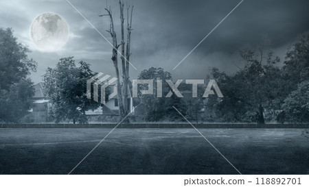 Bare tree beside the road with full moon in the night. Scene is scary and mysterious 118892701