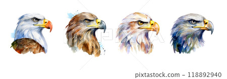 Four artistic watercolor portraits of bald eagles in different color palettes, showcasing their fierce eyes, hooked beaks, and regal profile views with detailed feathers. Bird. Four artistic watercolor portraits of bald eagles in different color palettes, showcasing their fierce eyes, hooked beaks, and regal profile views with detailed feathers. Bird. 118892940