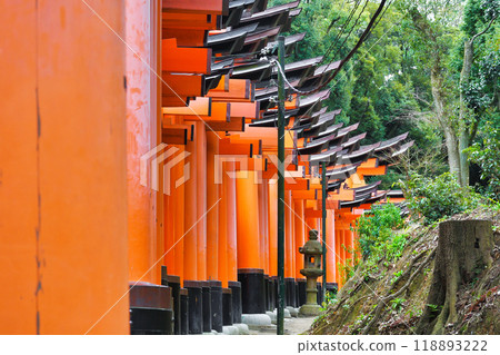 Kyoto Fushimi Inari Taisha Shrine, Senbon Torii (Fushimi Ward, Kyoto City, Kyoto Prefecture) 118893222