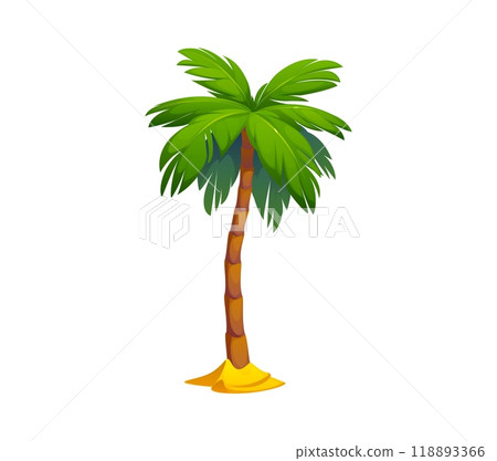 Cartoon palm or jungle tree from paradise beach or Caribbean island, vector icon. Coconut or banana and tropical fruit palm growing from sand for Hawaii vacation or exotic island jungle forest Cartoon palm or jungle tree from paradise beach or Caribbean island, vector icon. Coconut or banana and tropical fruit palm growing from sand for Hawaii vacation or exotic island jungle forest 118893366