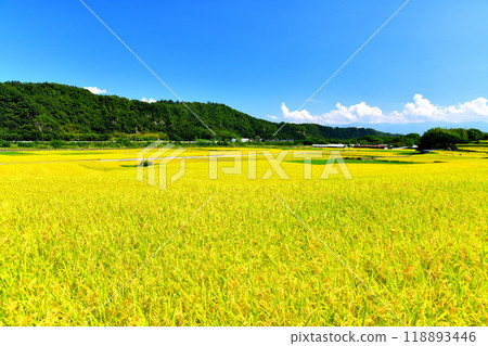 View of Shichiriiwa/Kamisoboishi from Orii, Seitetsu-cho, Nirasaki City (Nirasaki City, Yamanashi Prefecture) [September 2024] 118893446