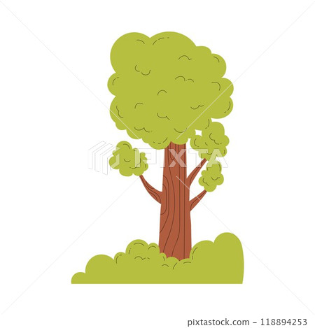 Tree with green leaves vector flat illustration, cartoon oak or linden forest plant, nature design element, garden flora Tree with green leaves vector flat illustration, cartoon oak or linden forest plant, nature design element, garden flora 118894253