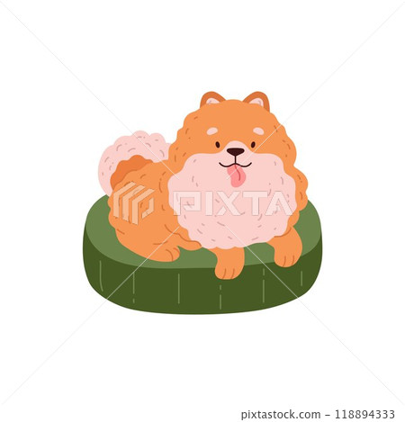 Cute Spitz dog lies on the green dog bed, Pomeranian German breed puppy resting, vector cartoon small fluffy ginger pet Cute Spitz dog lies on the green dog bed, Pomeranian German breed puppy resting, vector cartoon small fluffy ginger pet 118894333