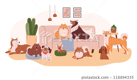 Cartoon different breeds dogs in the living room, friendly canine purebred animals on the coach, cute Spitz, collie pets 118894335
