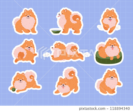Set of Pomeranian Spitz. Set of Pomeranian Spitz. 118894340