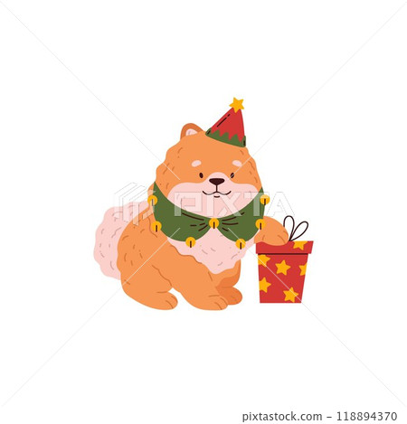 This Pomeranian Pomeranian in a New Year's costume and collar is ready to celebrate 118894370