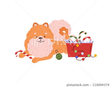 Illustration of a Pomeranian puppy lying next to a box with Christmas tree decorations. Illustration of a Pomeranian puppy lying next to a box with Christmas tree decorations. 118894374