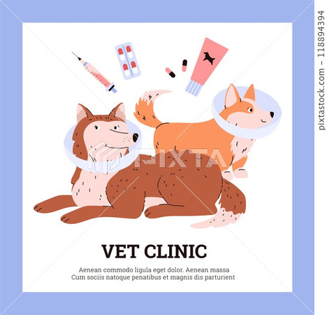 Vector poster of the veterinary clinic with corgi and husky with protective accessories Vector poster of the veterinary clinic with corgi and husky with protective accessories 118894394