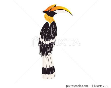 Hornbill exotic fauna endangered animal tropical rainforest habitat place unique bird Bucerotidae species design 118894709