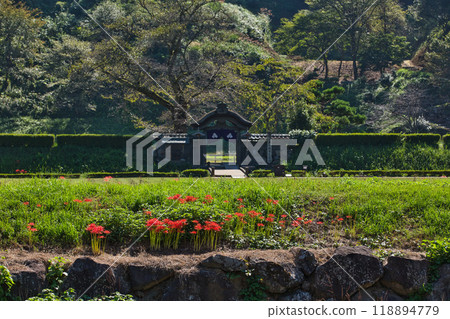 一乘谷朝倉氏遺址-秋天的彼岸花 118894779