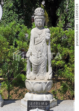 Enjoin Temple (Saitama) Enjoin Temple (Saitama) 118895324