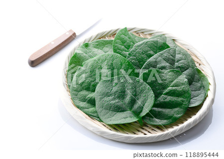 鶴村崎，營養豐富的綠色和黃色蔬菜 118895444