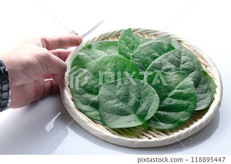 鶴村崎，營養豐富的綠色和黃色蔬菜 118895447