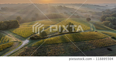 Sunset landscape bordeaux wineyard france, europe Nature Sunset landscape bordeaux wineyard france, europe Nature 118895504