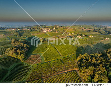 Sunset landscape bordeaux wineyard france, europe Nature Sunset landscape bordeaux wineyard france, europe Nature 118895506