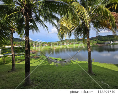 hammock among palm trees, relaxation in the tropics near lake 118895710