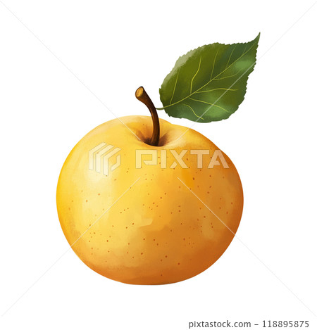 Pear cut-out illustration 118895875