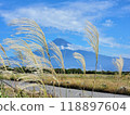 The silver grass swaying in the autumn wind is a part of the autumn scenery. 118897604