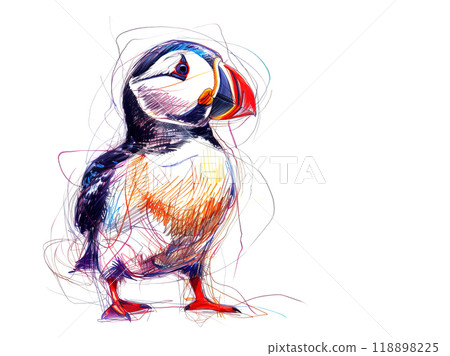 A colorful, stylized drawing of a puffin, captured with playful, energetic lines. Perfect for projects that evoke joy, whimsy, and coastal charm. Animlas Art. 118898225