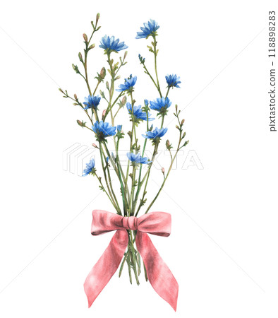 Wildflower bouquet with Field plant tied with a red bow. Blue chicory flowers with meadow green herbs and buds. Summer card floral clipart. Watercolor hand drawn illustration. Isolated from background Wildflower bouquet with Field plant tied with a red bow. Blue chicory flowers with meadow green herbs and buds. Summer card floral clipart. Watercolor hand drawn illustration. Isolated from background 118898283