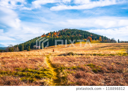 A peaceful autumn day unfolds on Bukovec Hill, where vibrant foliage contrasts with green pines under a clear blue sky, inviting nature lovers to explore the serene landscape. 118898812