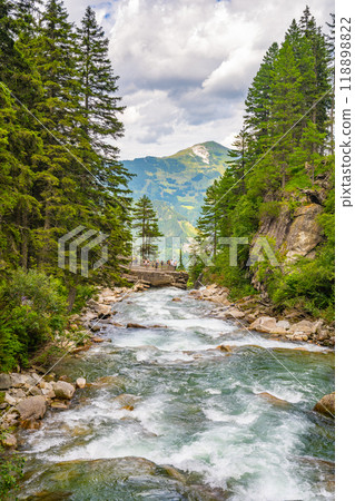 The Krimmler Ache river cascades through lush greenery in the Austrian Alps near Krimml Waterfalls, showcasing a tranquil summer scene with vibrant mountain views in the background. 118898822