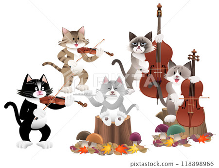 Cat's Autumn Concert 118898966