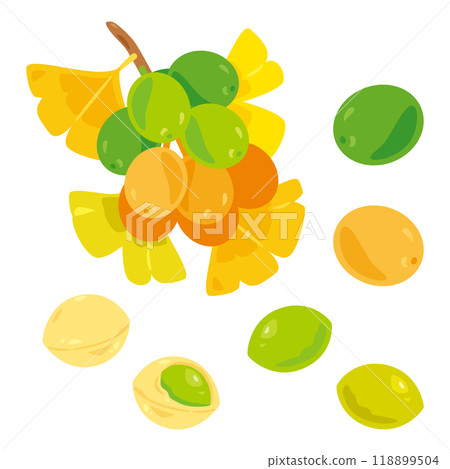 Ginkgo Set 118899504