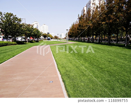 lawn with a park lawn with a park 118899755
