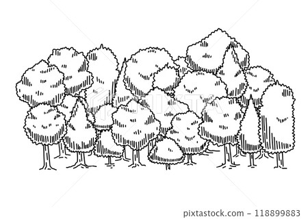 Forest sketch. Drawing pine landscape. Natural outline plant. Doodle drawn tree. Nature park or garden element 118899883
