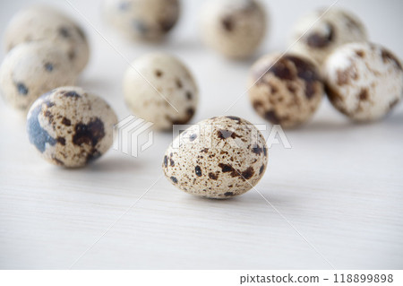 鵪鶉蛋 鵪鶉蛋 118899898
