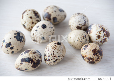 鵪鶉蛋 鵪鶉蛋 118899901