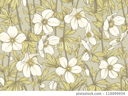 Forest Anemone flowers, decorative flowers  118899934