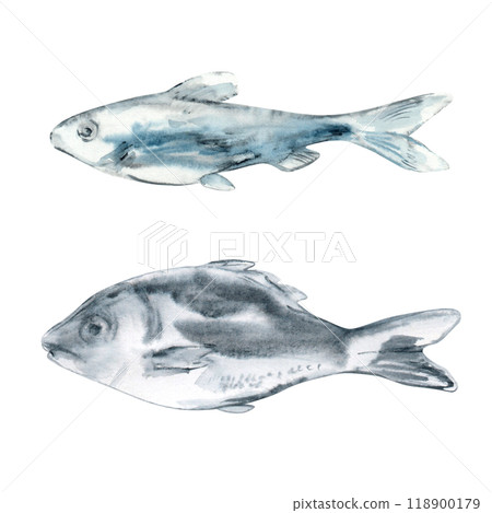 Set of swimming fish in watercolor. The shiny fish scales and fins are painted in blue and black on white background. A small fish with big fish swim in the same direction. Hand painting illustration Set of swimming fish in watercolor. The shiny fish scales and fins are painted in blue and black on white background. A small fish with big fish swim in the same direction. Hand painting illustration 118900179