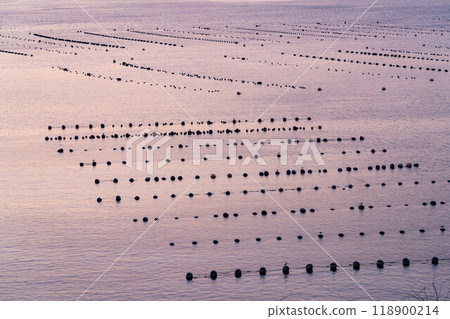 [Port material] Sunrise at Ofunato Bay [Iwate Prefecture] 118900214