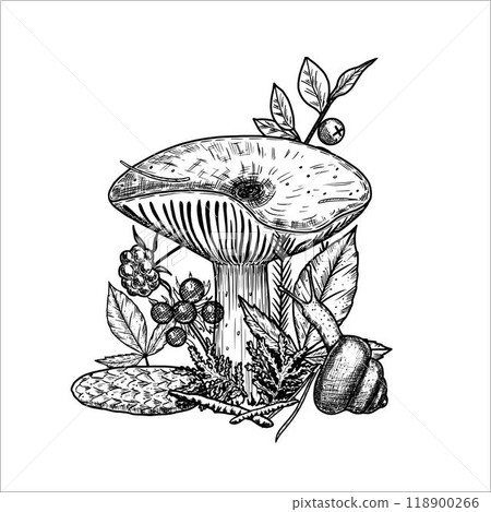 Hand draw mushrooms with  pine cone, moss, berries, snail. Vector illustration 118900266
