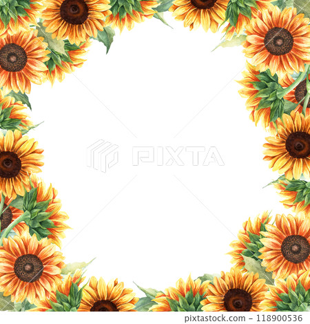 Watercolor square frame with yellow sunflowers, vibrant plants. Hand drawn botanical watercolor illustration isolated on white background. For greeting card invitation clip art sticker Watercolor square frame with yellow sunflowers, vibrant plants. Hand drawn botanical watercolor illustration isolated on white background. For greeting card invitation clip art sticker 118900536