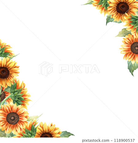 Watercolor square frame with yellow sunflowers. Hand drawn botanical watercolor illustration isolated on white background. For greeting card invitation clip art sticker 118900537