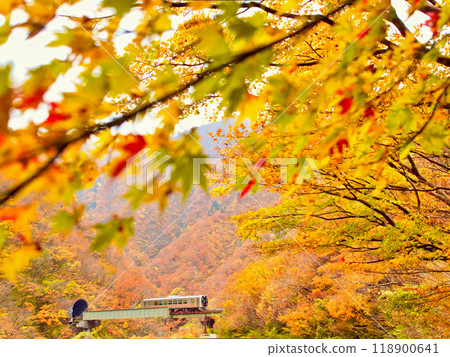 JR Yonesaka Line (Oguni Station - Echigo-Kanamaru Station) during autumn foliage season 118900641