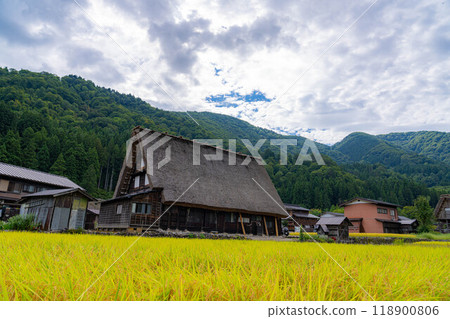 [World Heritage] Shirakawa-go in early autumn with ripe rice [Gifu Prefecture] 118900806