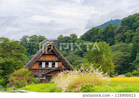 [World Heritage] Shirakawa-go in early autumn with ripe rice [Gifu Prefecture] 118900813