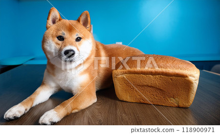 柴犬和麵包（AI 生成圖像） 118900971