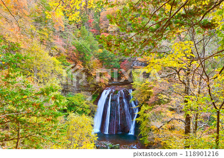 Autumn leaves of Yokotani Valley Ou Falls Autumn leaves of Yokotani Valley Ou Falls 118901216