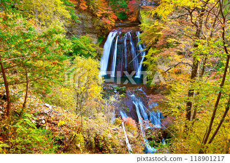 Autumn leaves of Yokotani Valley Ou Falls 118901217