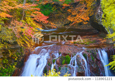 Autumn leaves of Yokotani Valley Ou Falls 118901221
