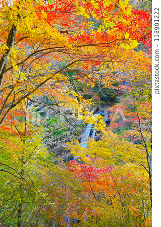 Yokotani谷Ou秋葉 118901222