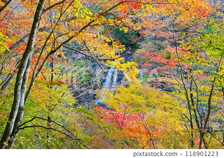 Autumn leaves of Yokotani Valley Ou Falls Autumn leaves of Yokotani Valley Ou Falls 118901223