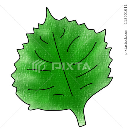 Loose and simple shiso leaf, analog style Loose and simple shiso leaf, analog style 118901611